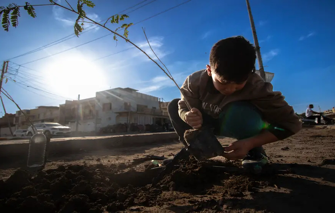 Green Future for Iraq - A Nationwide Tree Planting Campaign