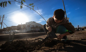 Green Future for Iraq - A Nationwide Tree Planting Campaign