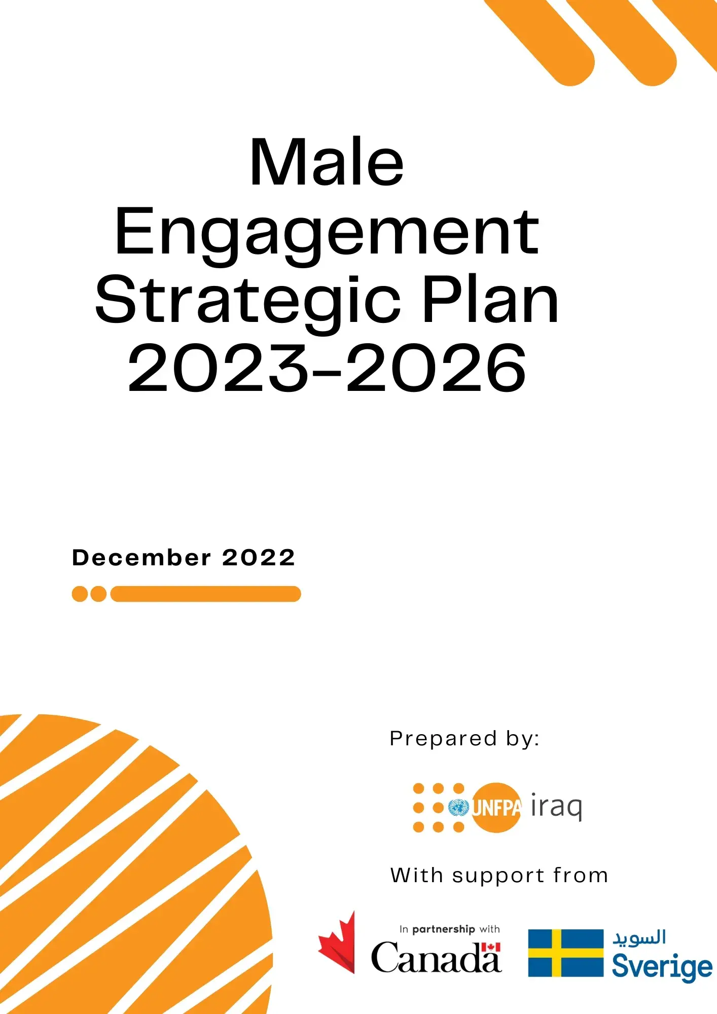 UNFPA Iraq Male Engagement Strategic Plan 2023-2026