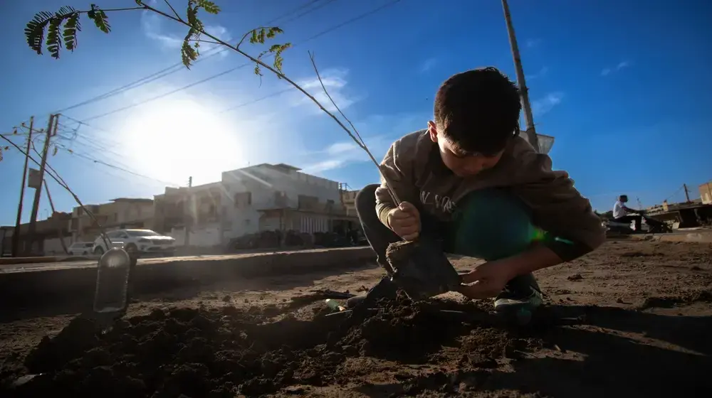 Green Future for Iraq - A Nationwide Tree Planting Campaign